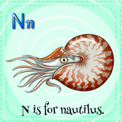 Nautilus