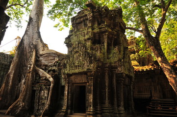 Naklejka premium Angkor Ta Prohm Temple of Cambodia