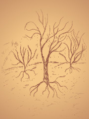 Dead Tree Sketch