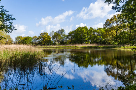 Teich in Heiligendamm
