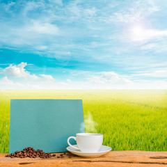 rice field and blue sky