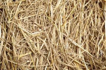 rice straw