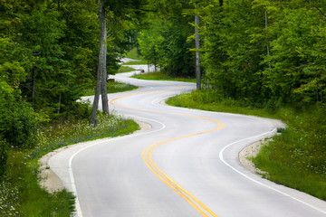 Winding Road in Forest in Wisconsin, USA