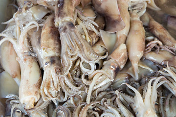 Fresh Squid on a market stall