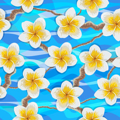 Obraz premium Tropical flowers plumeria
