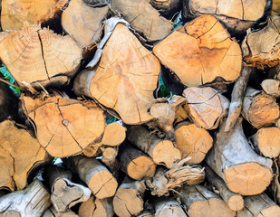 Chopped Woodpile