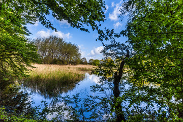 Teich in Heiligendamm