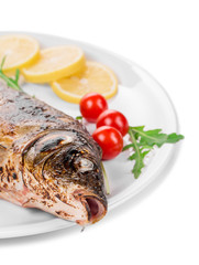 Close up of grilled carp steak. 