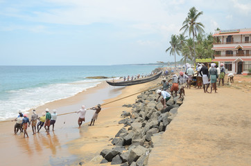 Fishermen are pulling net from the sea in India.