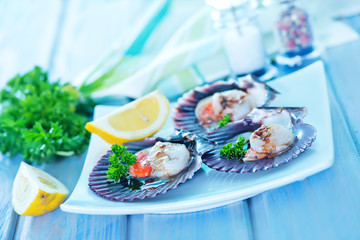 scallop