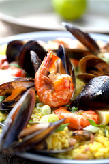 Verschiedene meeresfrüchte 