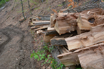 Logs near road
