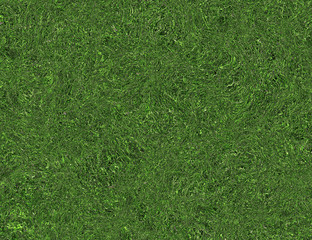 Obraz premium bright curled twisted green grass texture