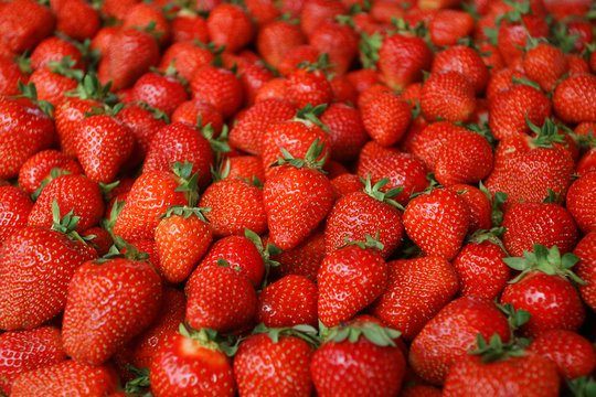 Many Tasty Juicy Natural Strawberry