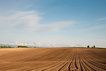 Fototapeta na wymiar 残雪の山並みと耕した畑
