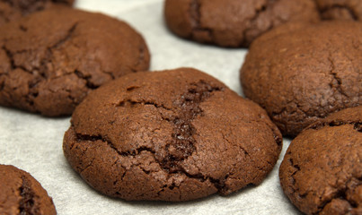 freshly made choocolate cookies
