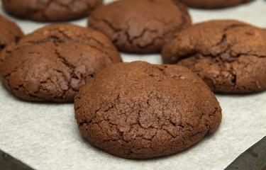freshly made choocolate cookies