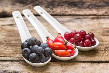 Blackthorn, rosehips and cranberry on wooden background