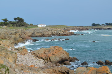 Fototapeta na wymiar La Côte Sauvage - Île d'Yeu