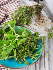 Fresh green herbs. Thyme, rosemary and oregano.