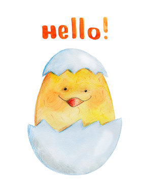Chicken on the egg . Congratulation. Watercolor 