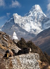 View of Ama Dablam with stupa and caravan of yaks