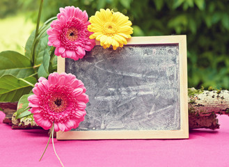 greeting card background for your text - blackboard
