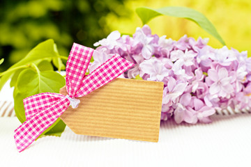 greeting card background for your text