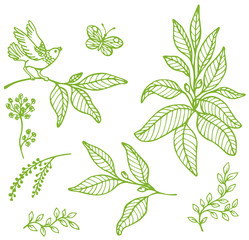 Decorative floral elements