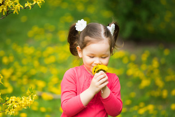 cute pretty little girl  with yellow dandelions