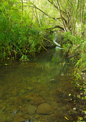 Gran Canaria, Azuaje