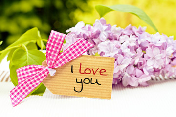 greeting card background for your text - i love you