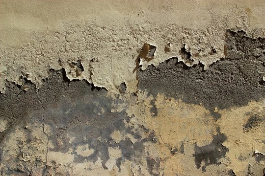 Peinture &eacute;caill&eacute;e.