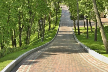 Красивая аллея в парке