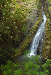 Gran Canaria, Azuaje