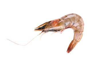 Raw tiger shrimp.