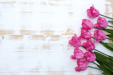 Fototapeta na wymiar pink tulips on white rustic wooden background