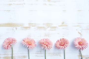 Store enrouleur tamisant Gerbera Gerbera rose sur fond de bois rustique blanc