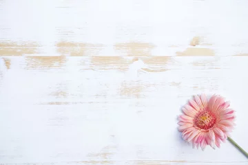 Papier Peint photo autocollant Gerbera Gerbera rose sur fond de bois rustique blanc