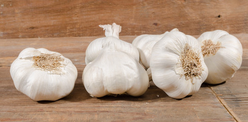 White garlic bulbs