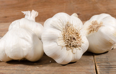 White garlic bulbs