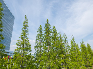 fresh green woods and office building.