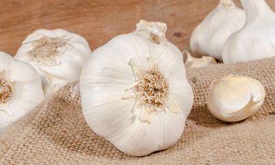 White garlic bulbs and cloves