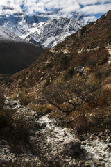 view of the Himalayas from the village of Pangboche