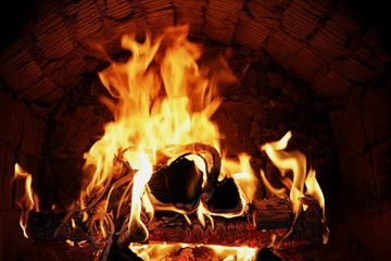 firewood burning in the oven