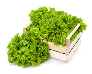 Green leaf lettuce in crate