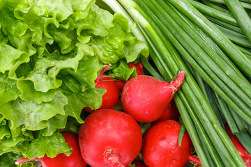 Fresh spring vegetables