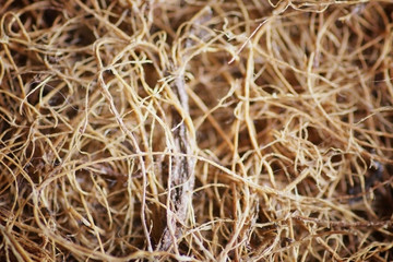 background natural material flax Coconut