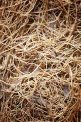 background natural material flax Coconut