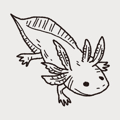 salamander doodle